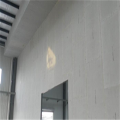 涿鹿宁波ALC板|EPS加气板隔墙与混凝土整浇联接的实验研讨